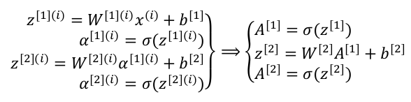 向量表示结果